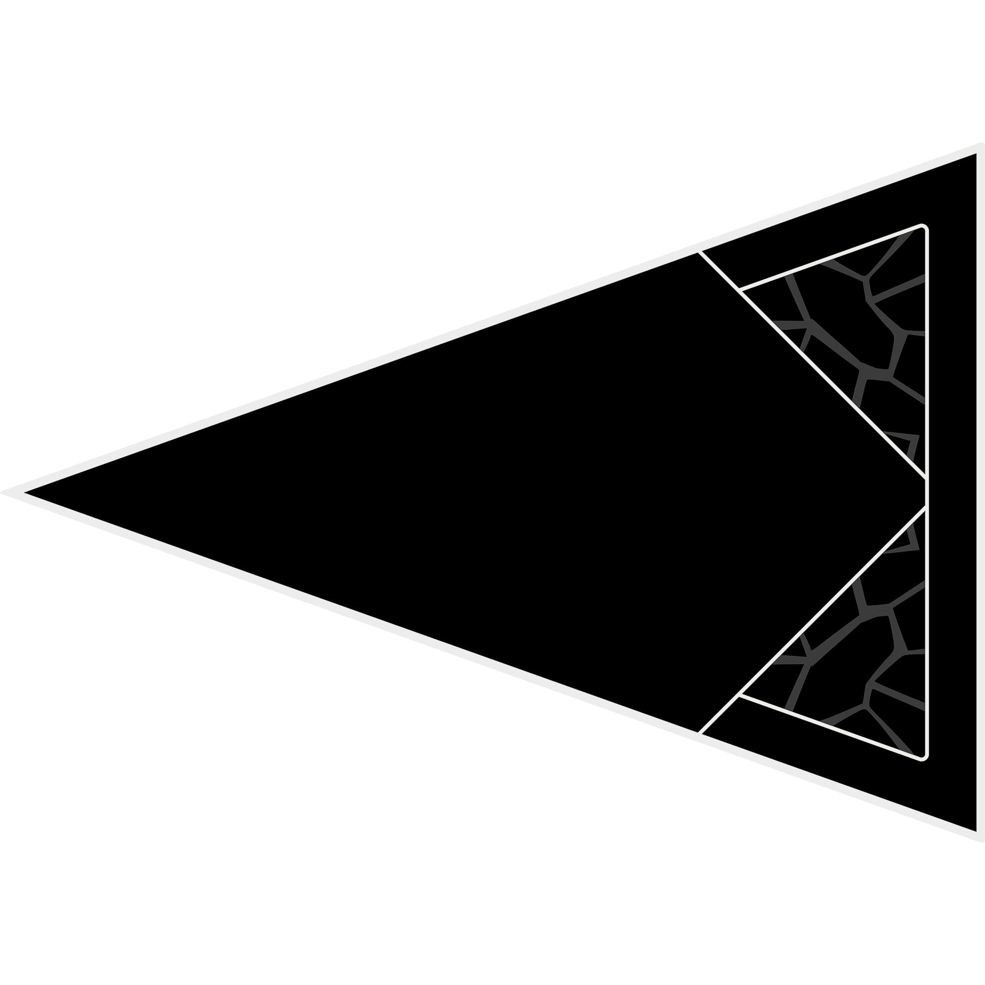 Polaris RZR 1000 - 2 & 4 Seat Dragon Fire Trunk - OEM