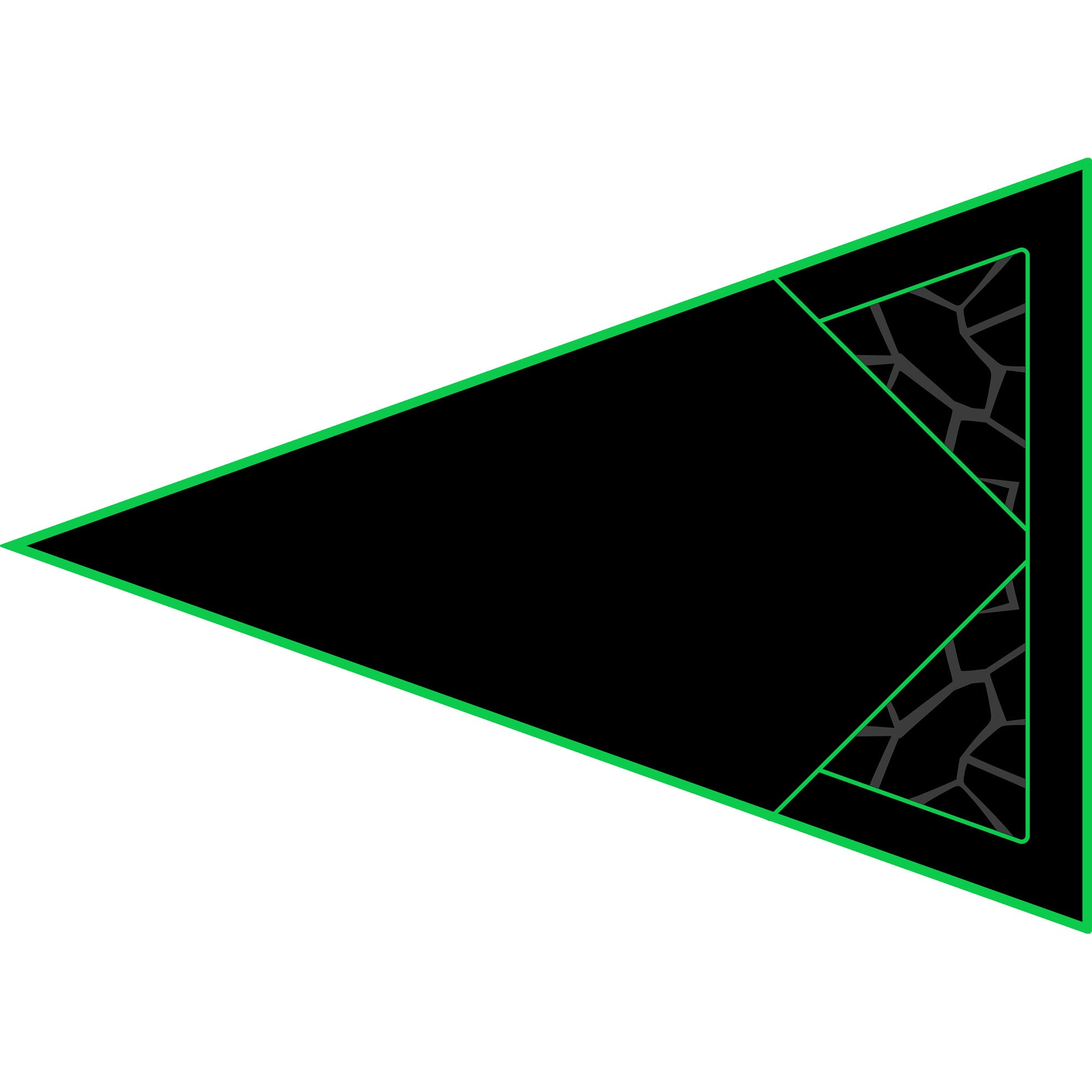 Polaris RZR 1000 - 2 & 4 Seat Dragon Fire Trunk - OEM