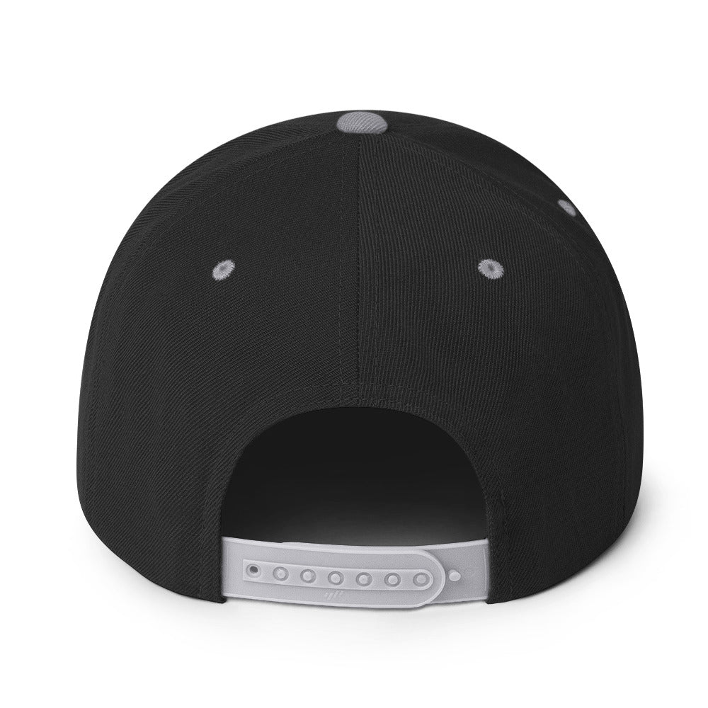 NSXSA - Snapback Hat