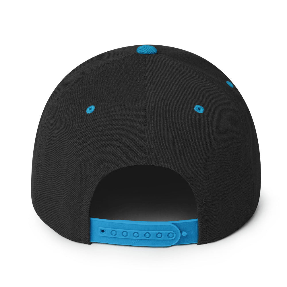 NSXSA - Snapback Hat