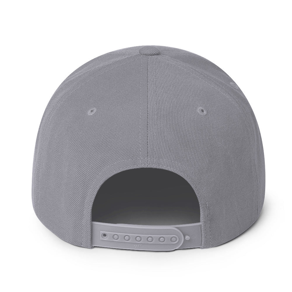 NSXSA - Snapback Hat
