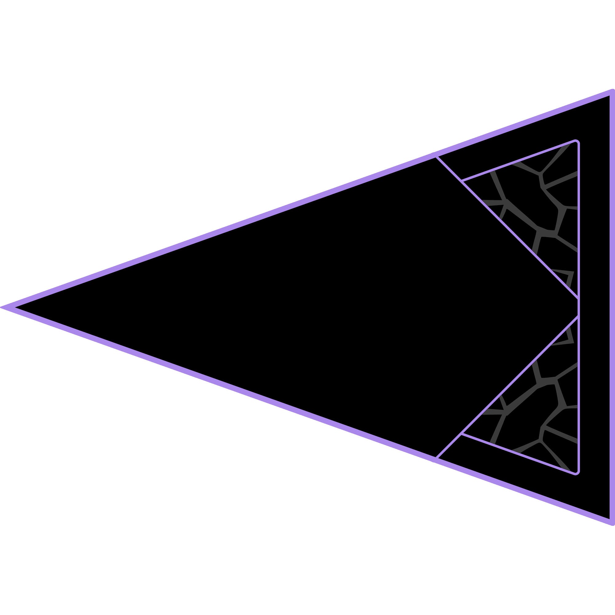 Polaris RZR 1000 - 2 & 4 Seat Dragon Fire Trunk - OEM