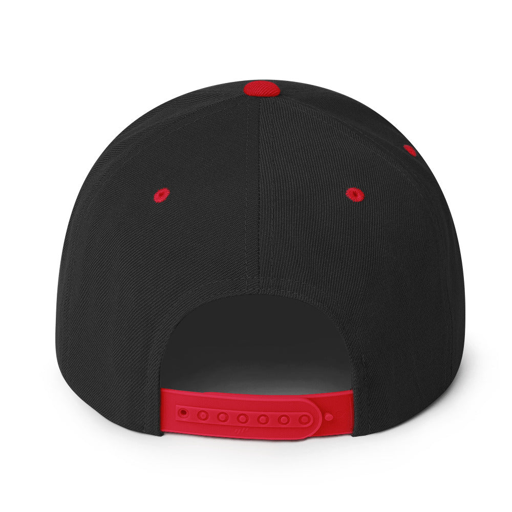 NSXSA - Snapback Hat