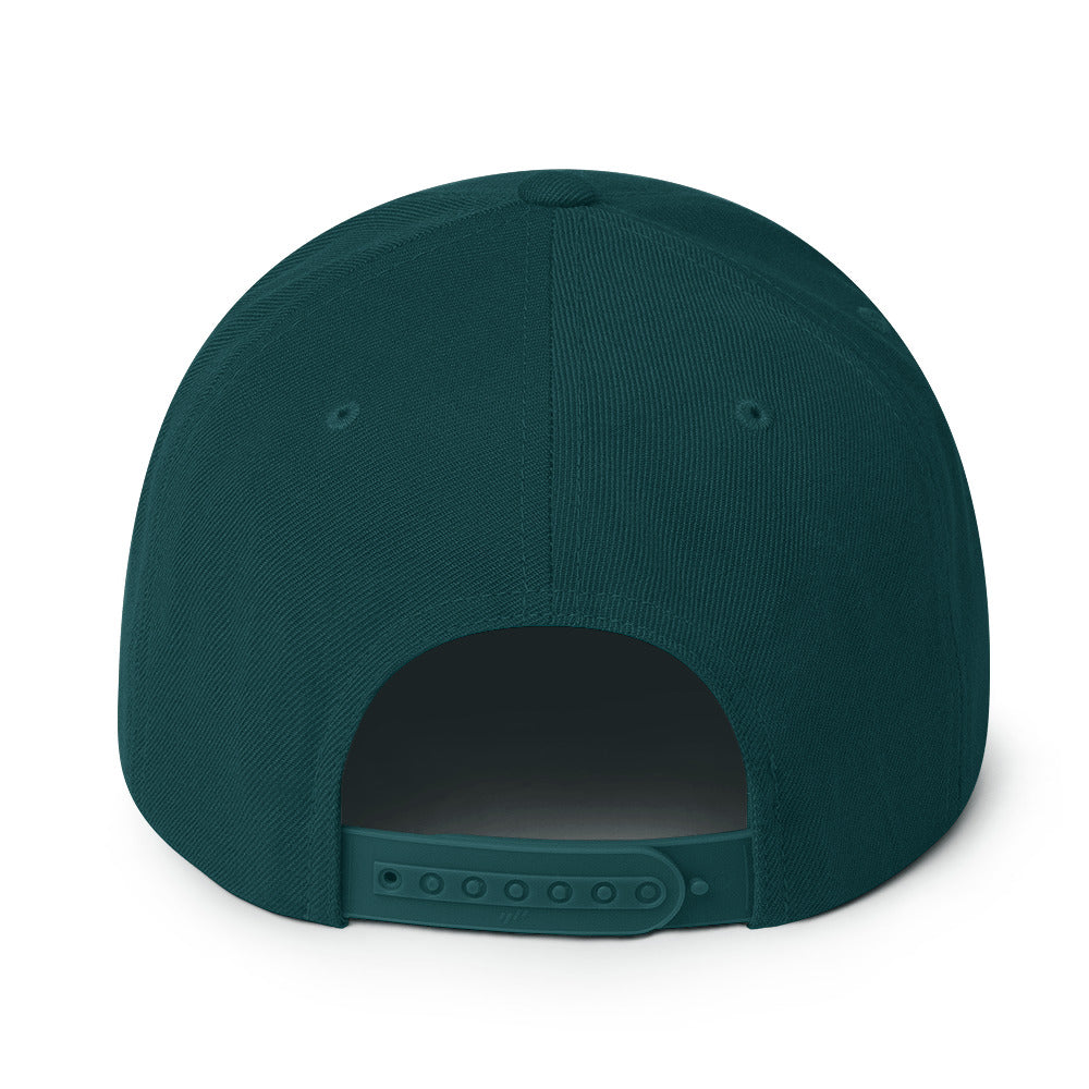 NSXSA - Snapback Hat